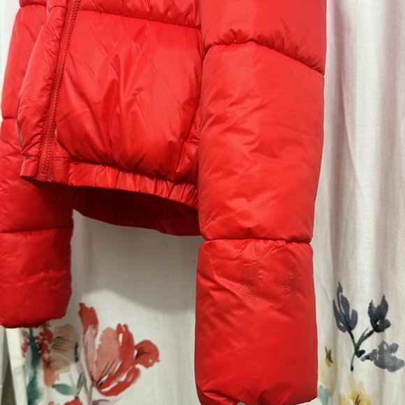 Jacket - Picture 2 of 6